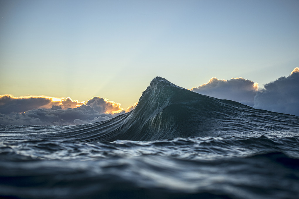 Found at Sea by Ray Collins